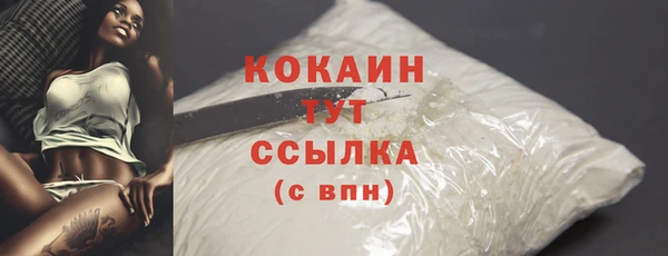 амф Богородицк
